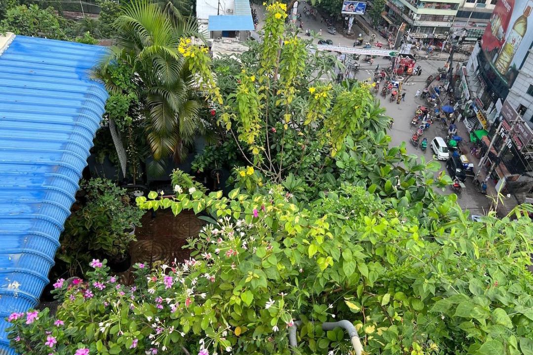 Photo of Others in Dhaka