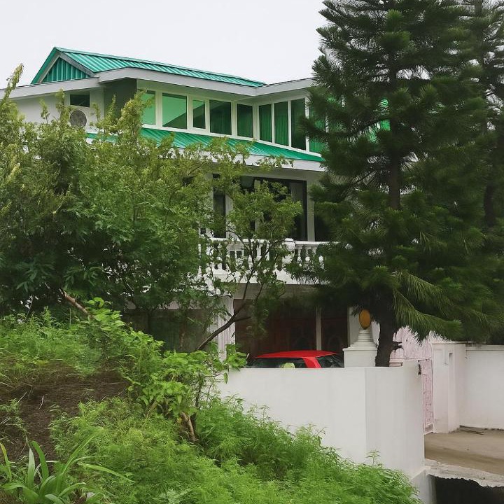 Photo of Others in Palampur