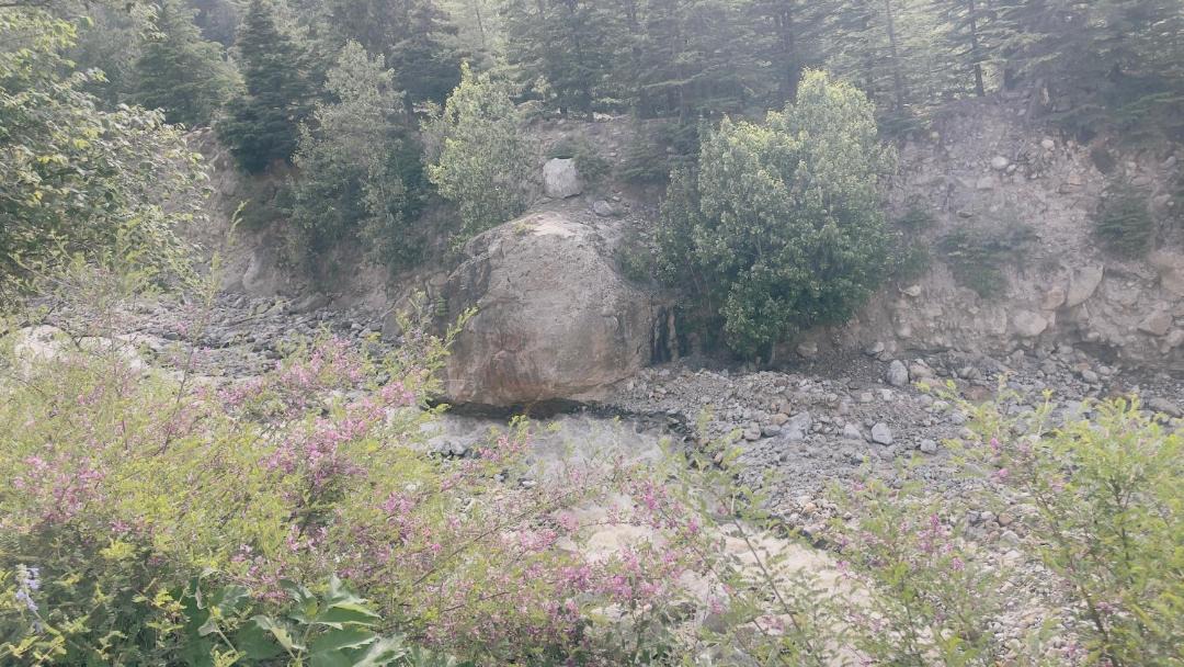 Photo of Others in Sangla