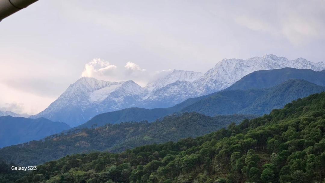 Photo of Others in Palampur