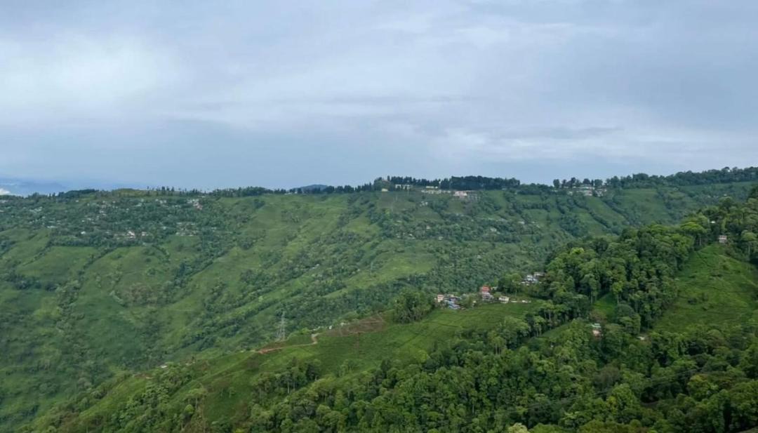 Photo of Others in Darjeeling