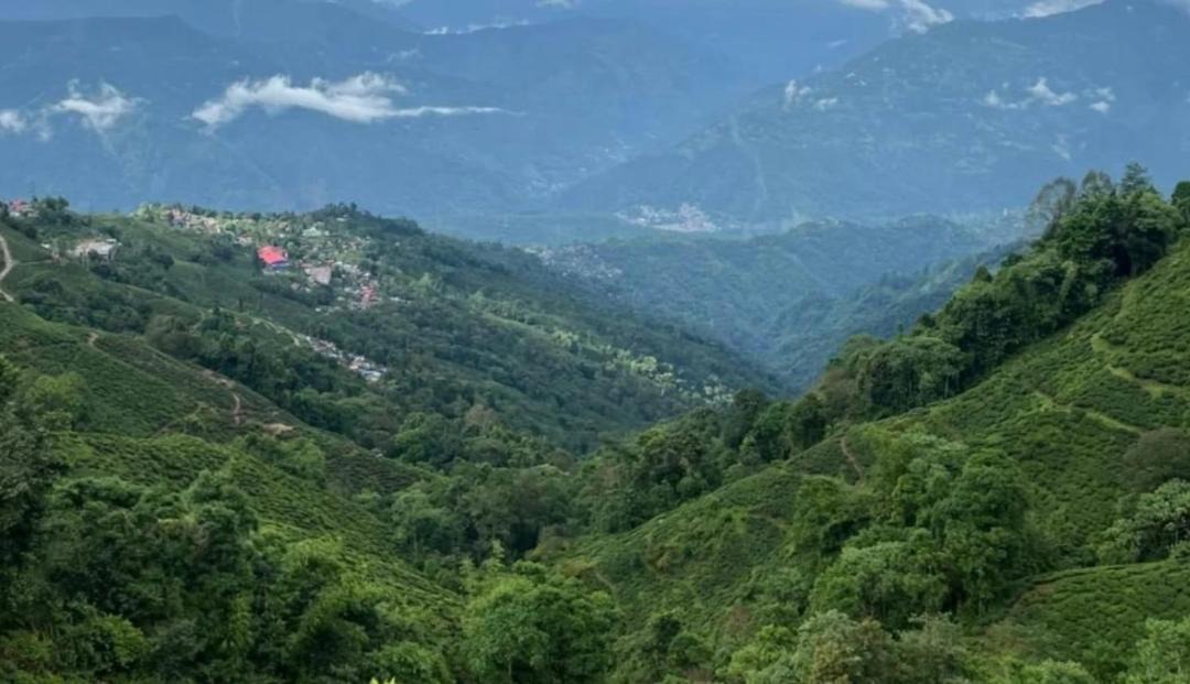 Photo of Others in Darjeeling