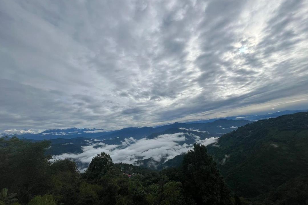 Photo of Others in Darjeeling