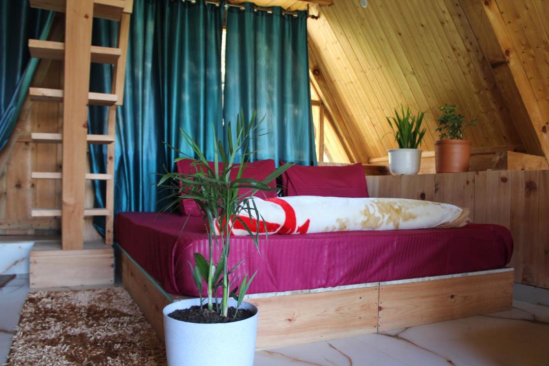 Photo of Bedroom in Kullu