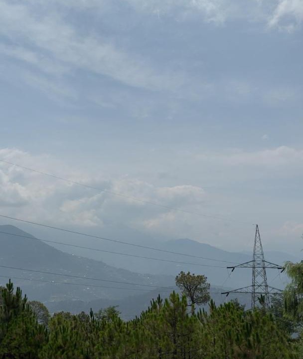 Photo of Others in Patnitop
