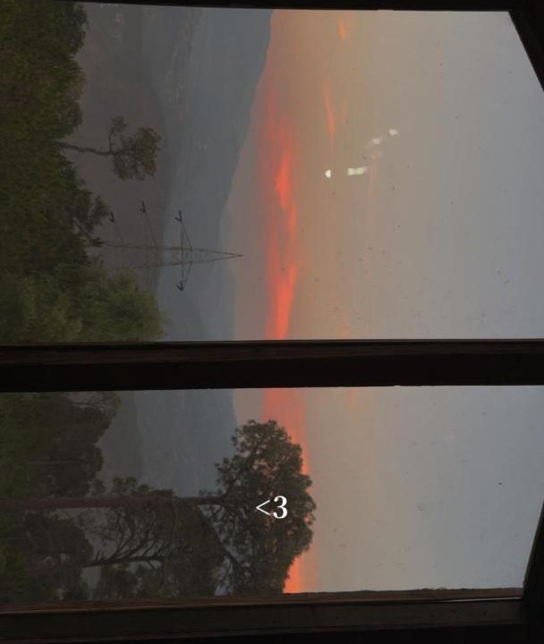 Photo of Others in Patnitop