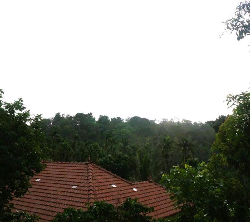 Photo of Others in Virarajendrapet