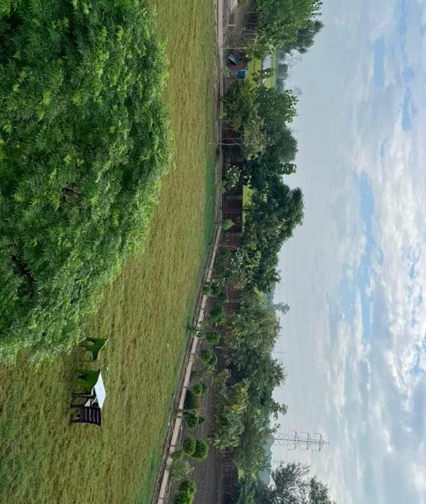 Photo of Others in Hisar