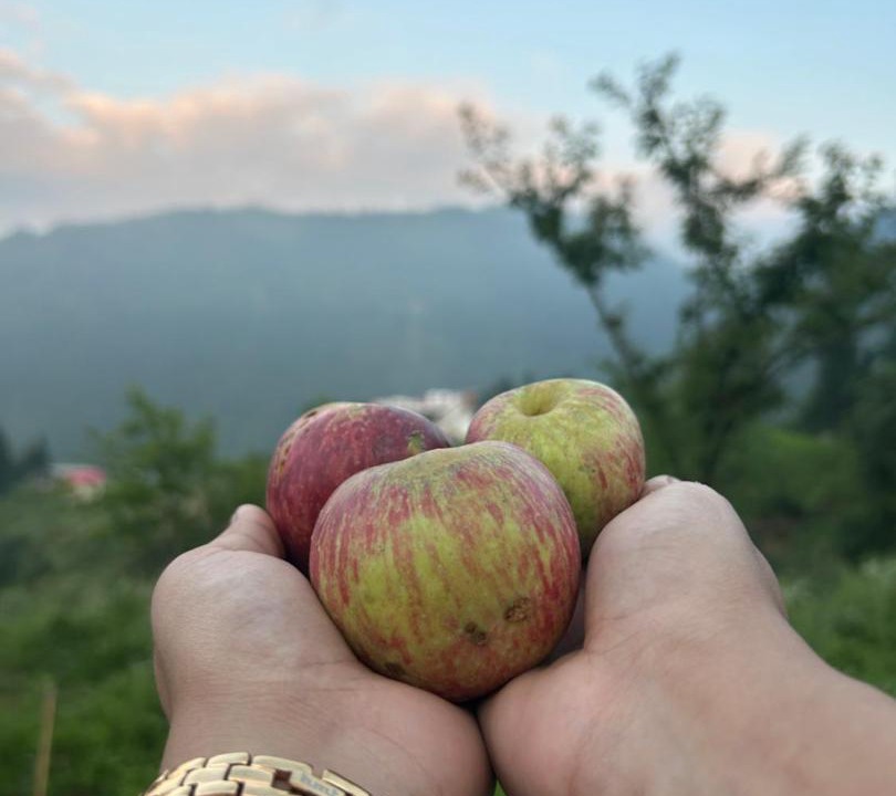 Photo of Outdoor in Khajjiar