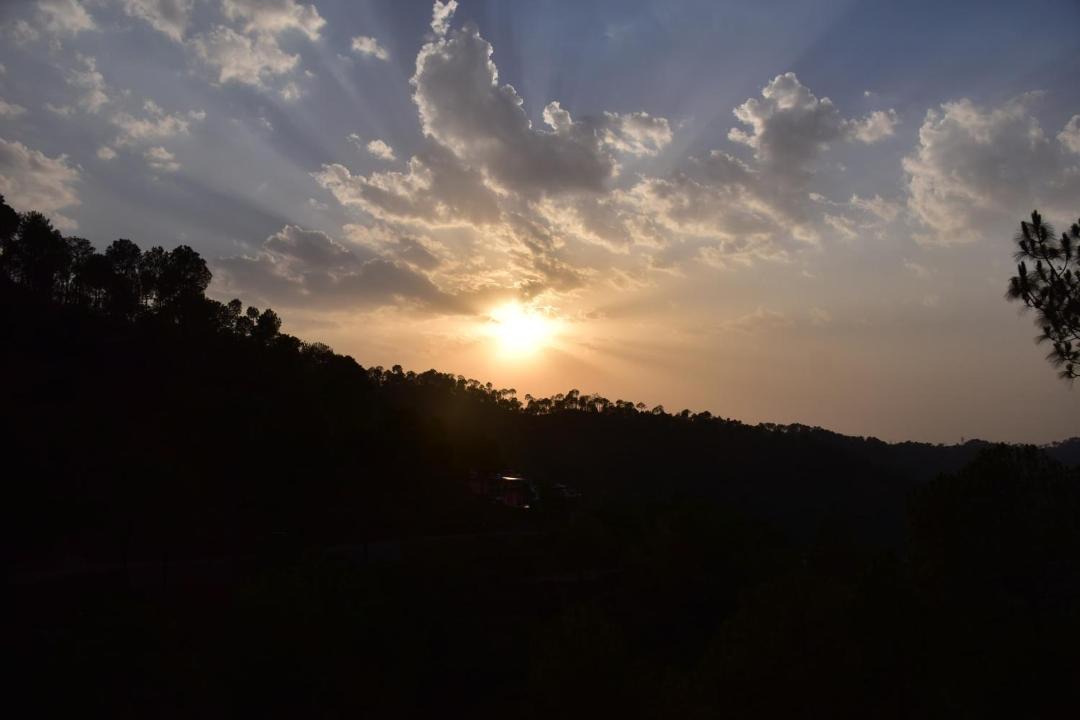 Photo of Others in Kasauli