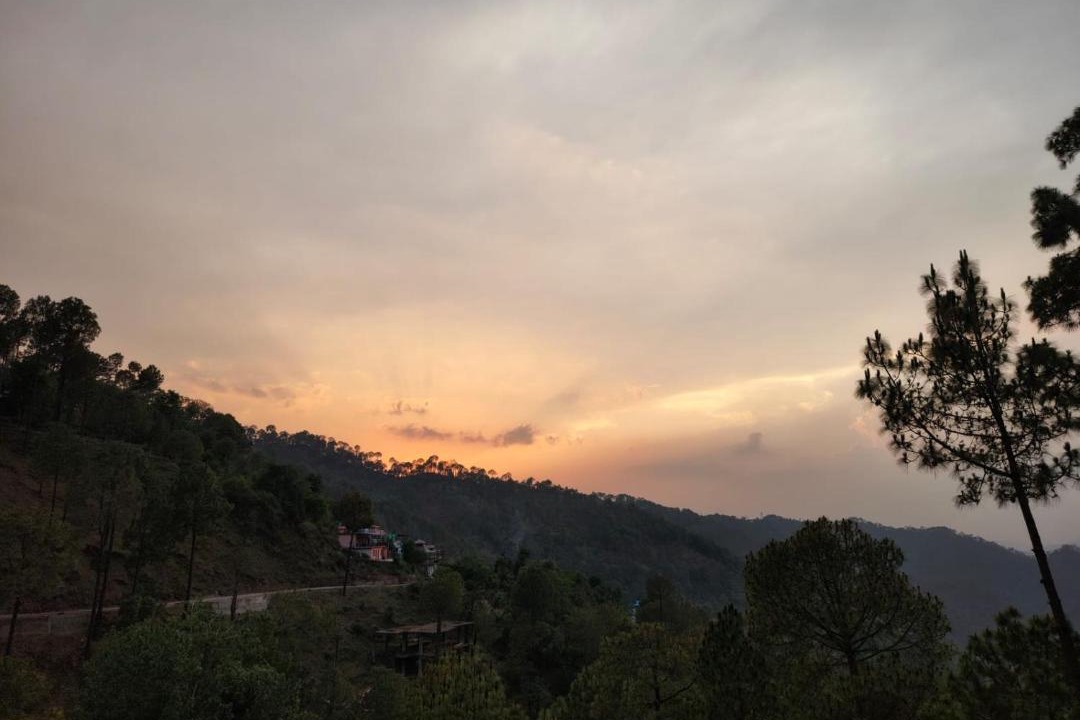 Photo of Others in Kasauli