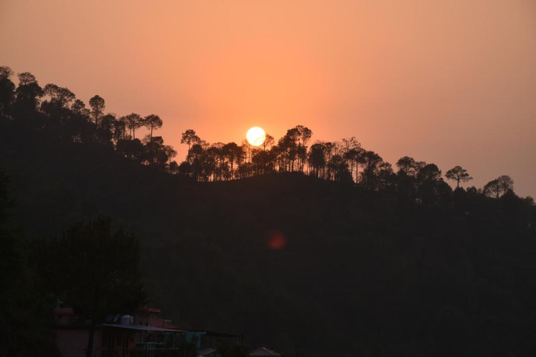 Photo of Others in Kasauli