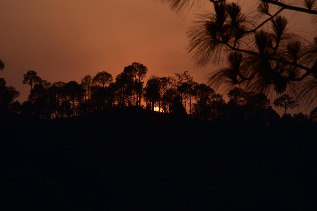 Photo of Others in Kasauli