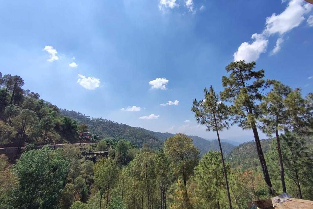 Photo of Others in Kasauli