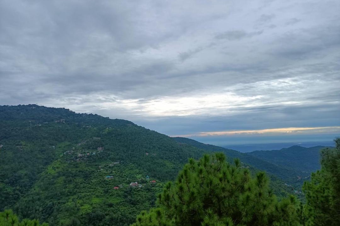 Photo of Others in Kasauli