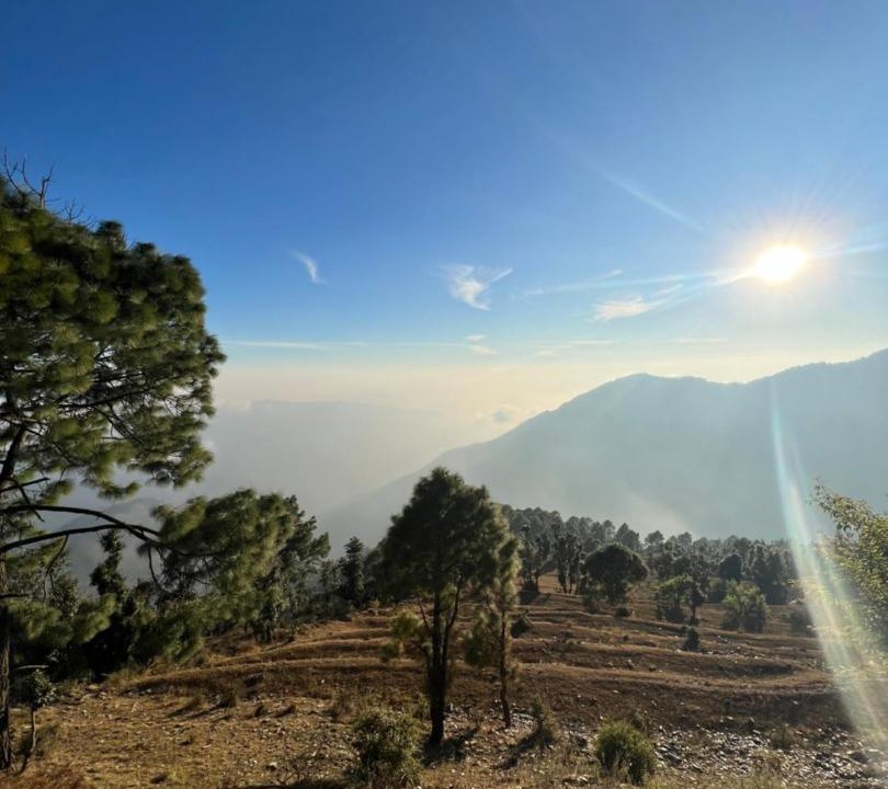 Photo of Others in Naina Range
