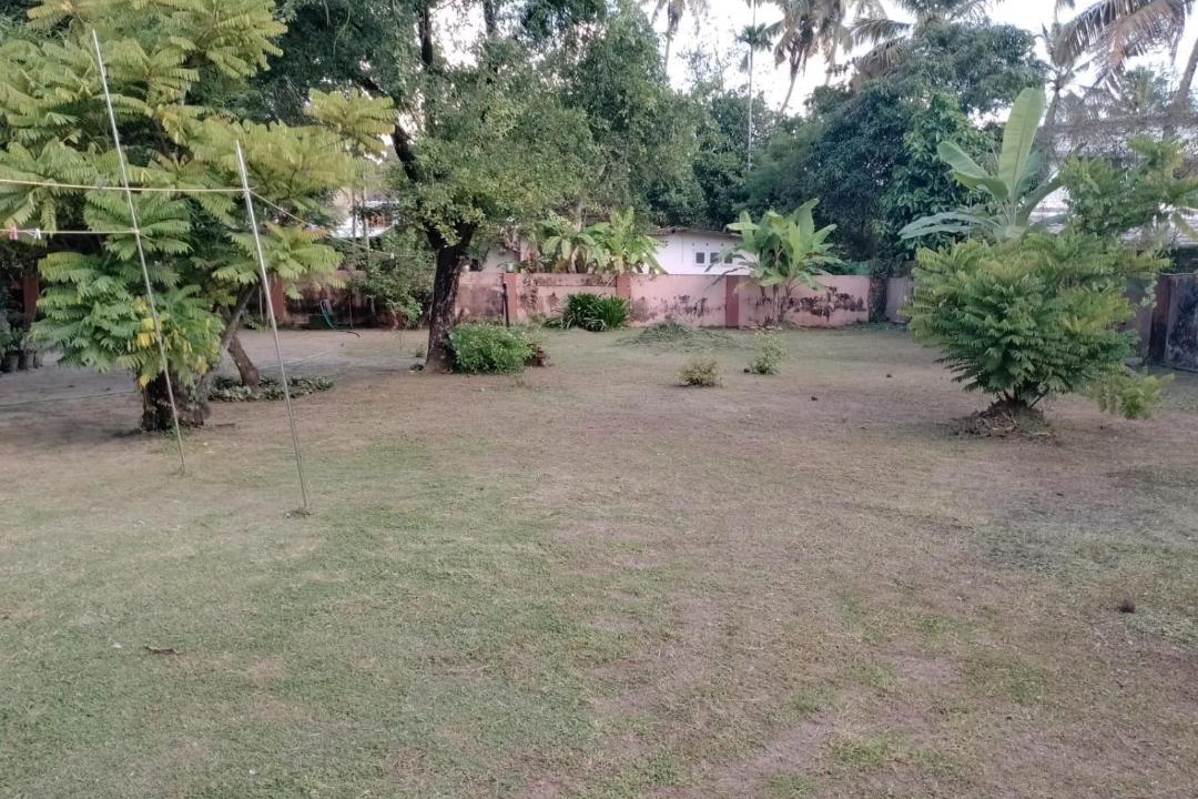 Photo of Others in Sea View Ward