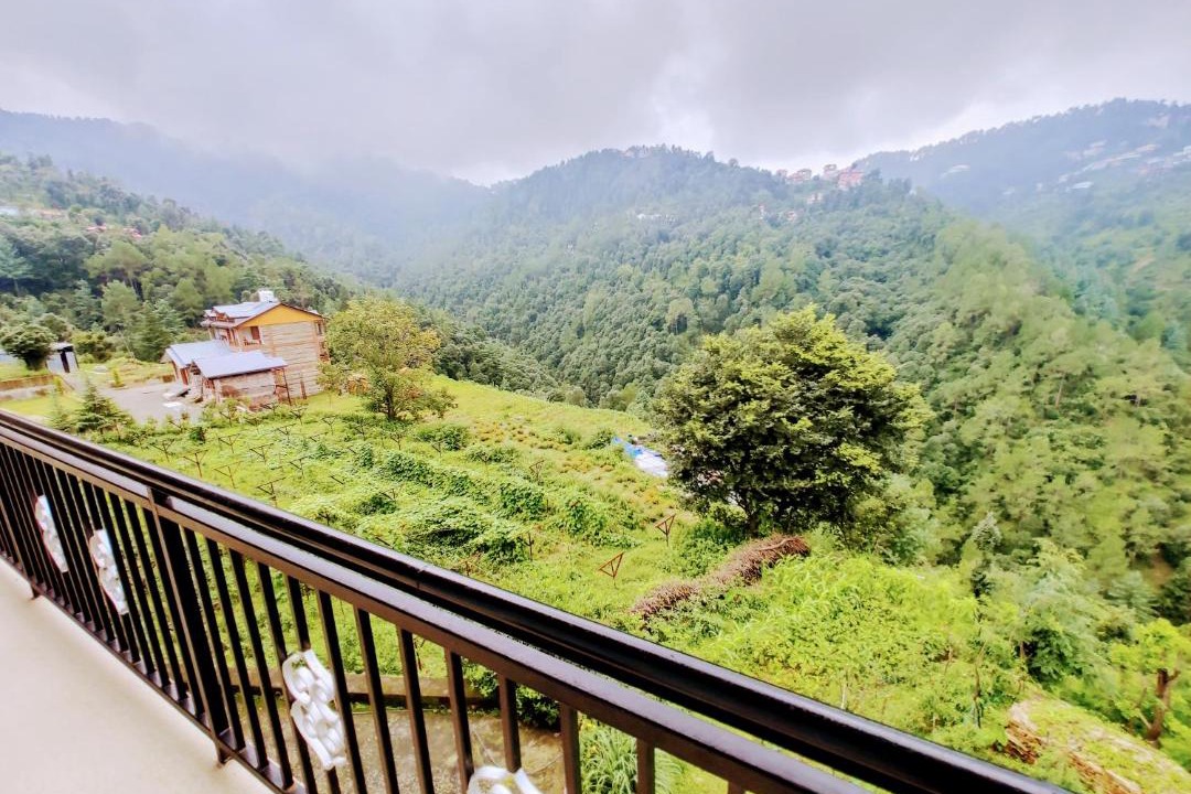 Photo of Others in Shimla