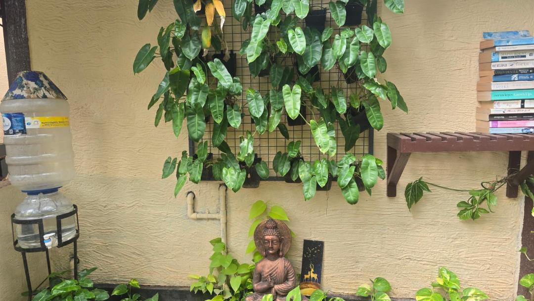 Photo of Others in Varkala
