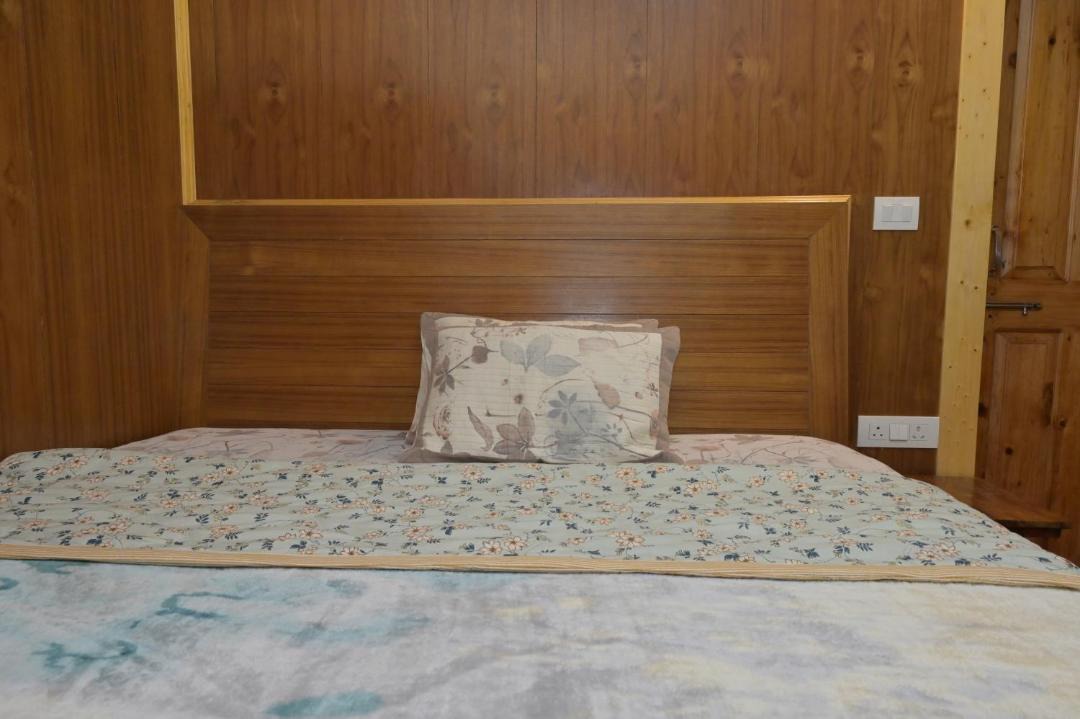 Photo of Others in Shimla