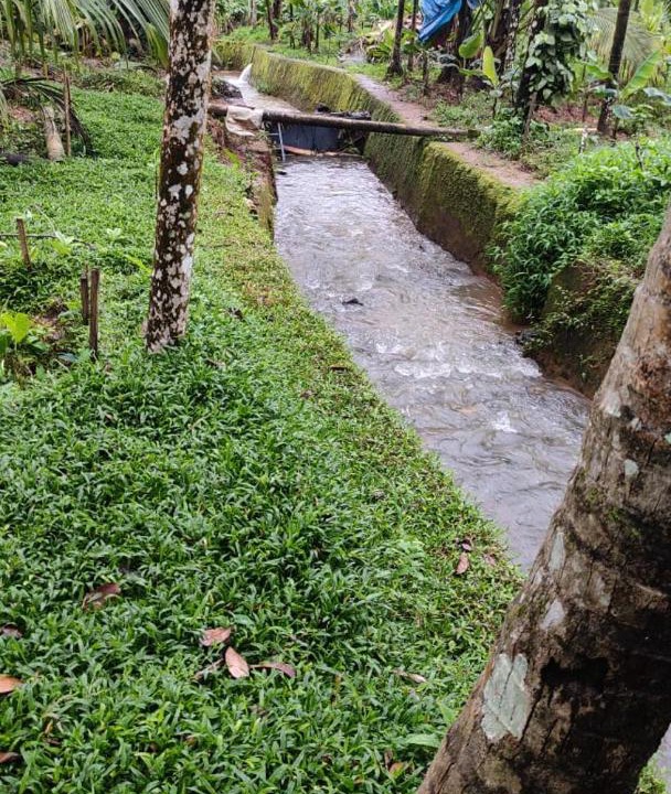 Photo of Others in Mannarkkad