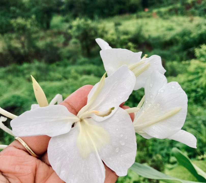 Photo of Outdoor in Satara