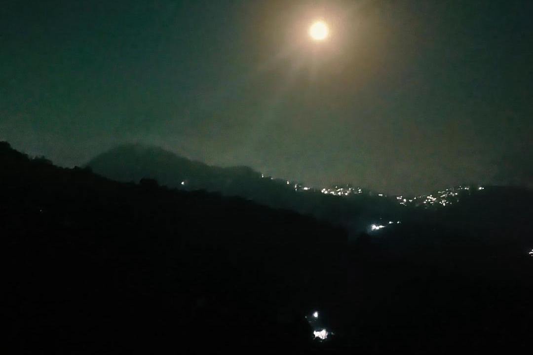 Photo of Others in Shimla