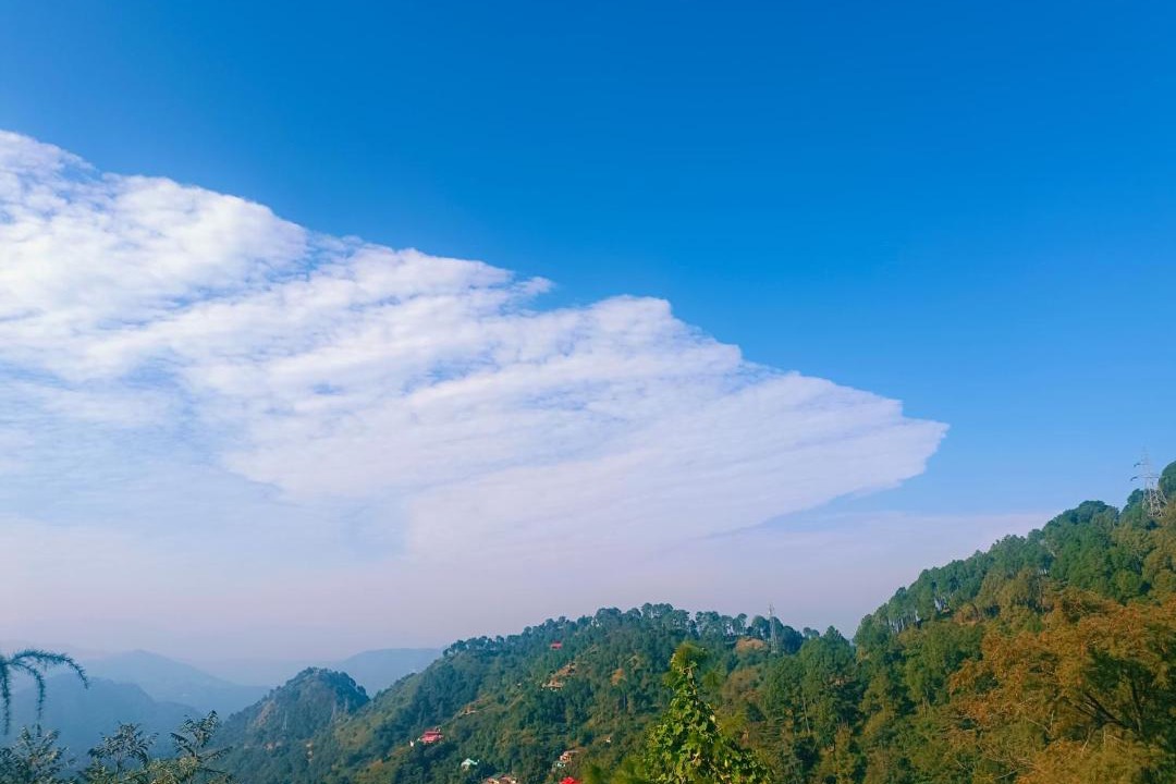 Photo of Others in Shimla