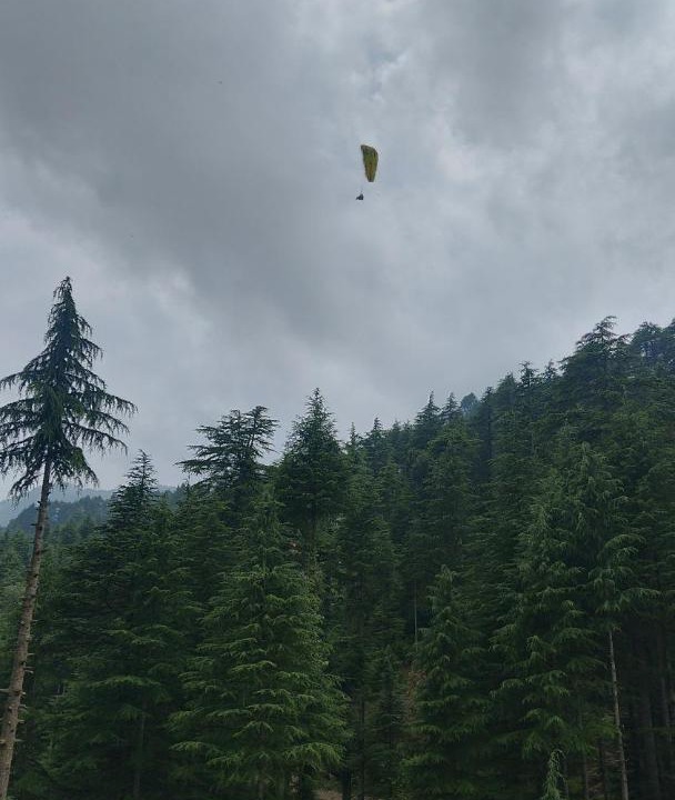 Photo of Others in Khajjiar