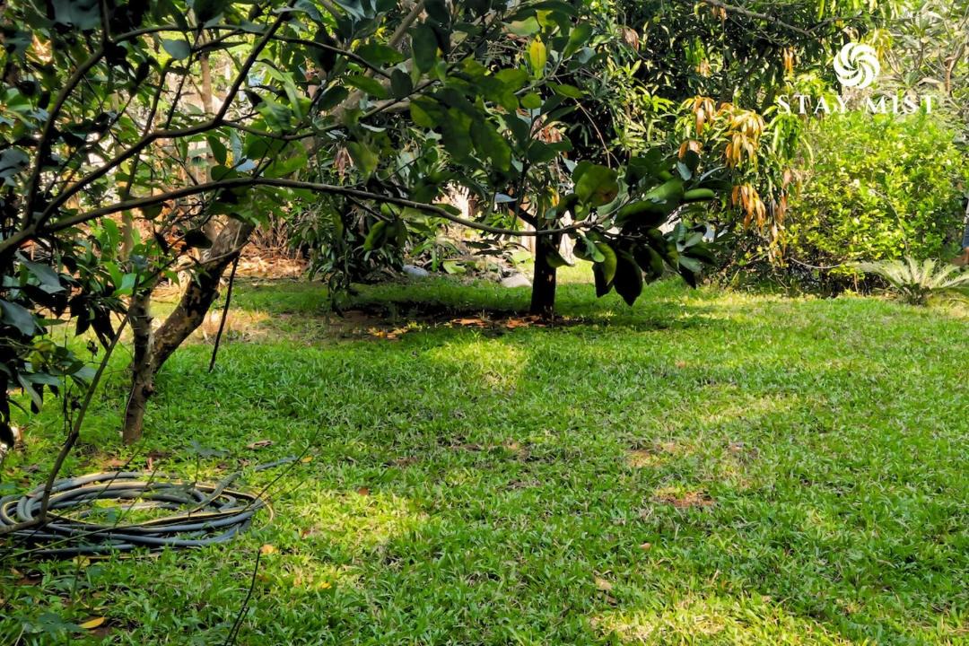 Photo of Outdoor in Nagaon