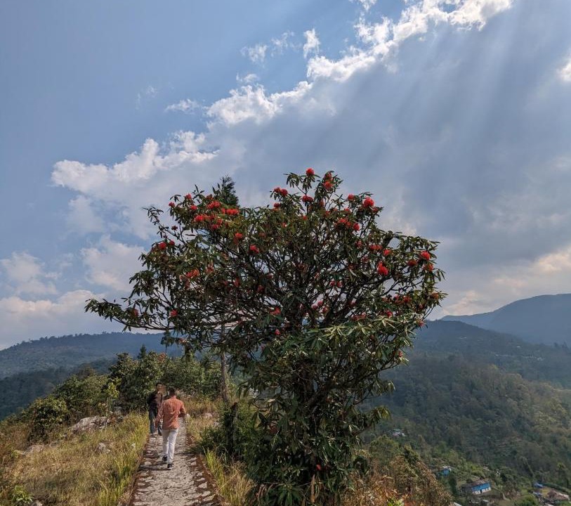 Photo of Others in Geyzing