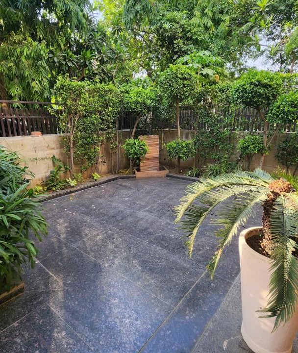 Photo of Others in DLF Phase 3