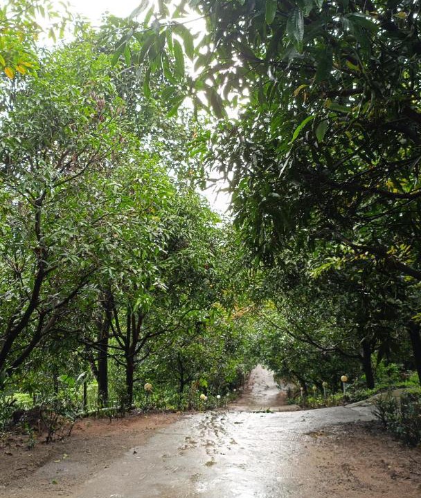 Photo of Outdoor in Lakkidi