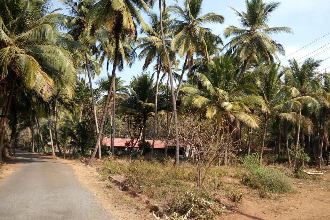 Photo of Others in Marmagao