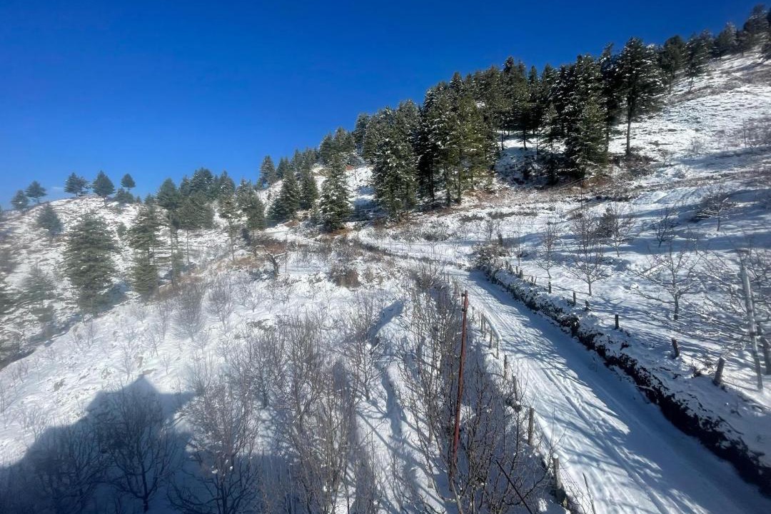 Photo of Others in Rohru