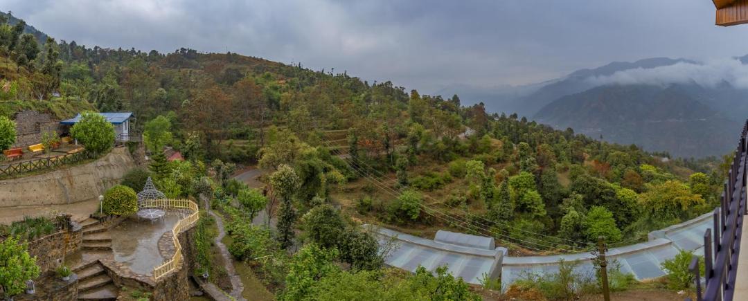 Photo of Others in Solan
