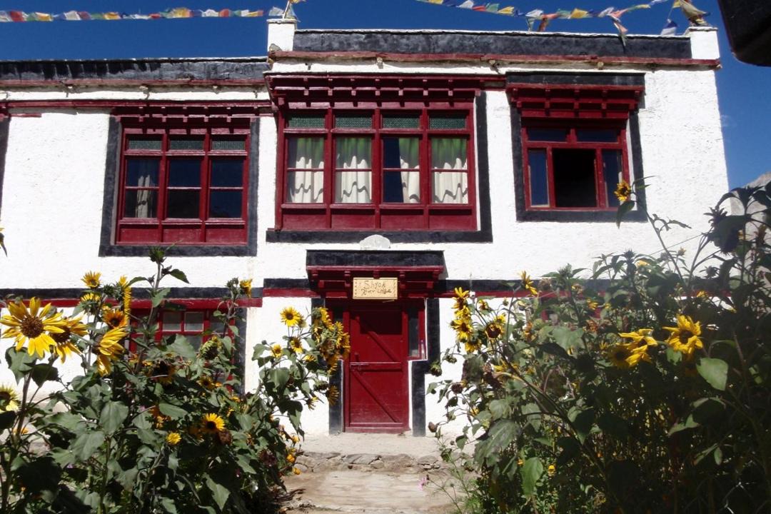 Photo of Others in Leh