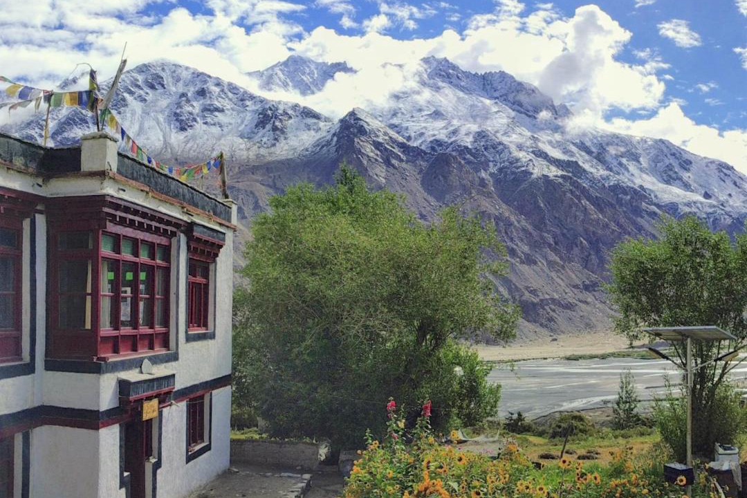 Photo of Others in Leh
