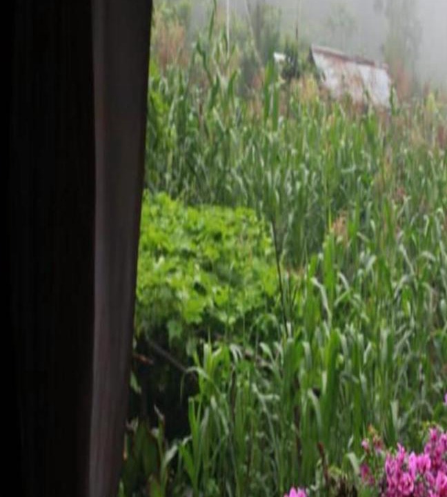 Photo of Others in Darjeeling