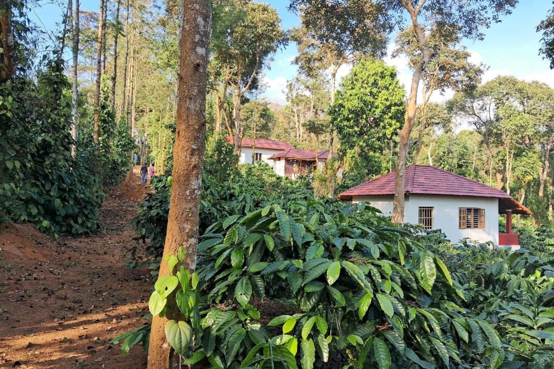 Photo of Others in Bittangala