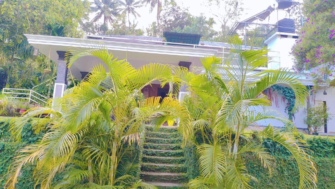 Photo of Others in Devikolam