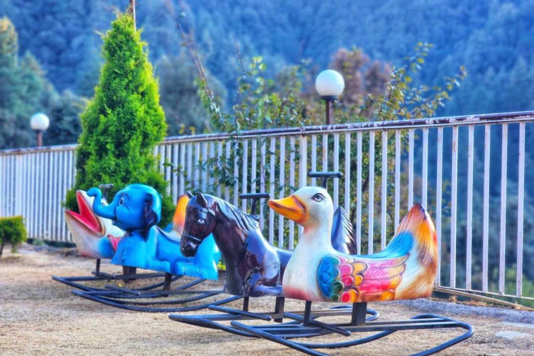 Photo of Others in Shimla
