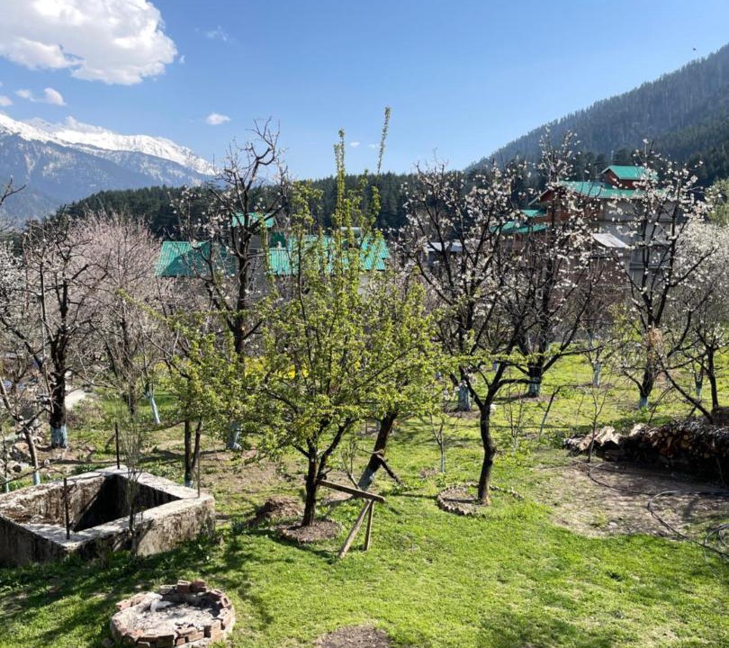Photo of Others in Old Manali