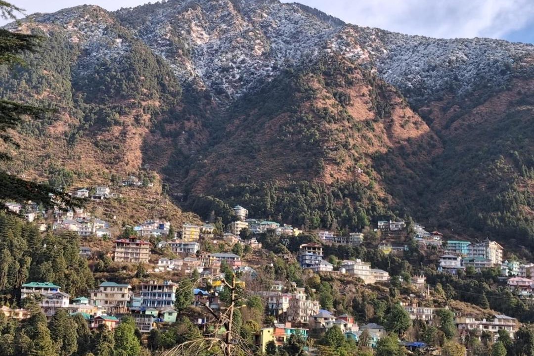 Photo of Others in Dharamkot