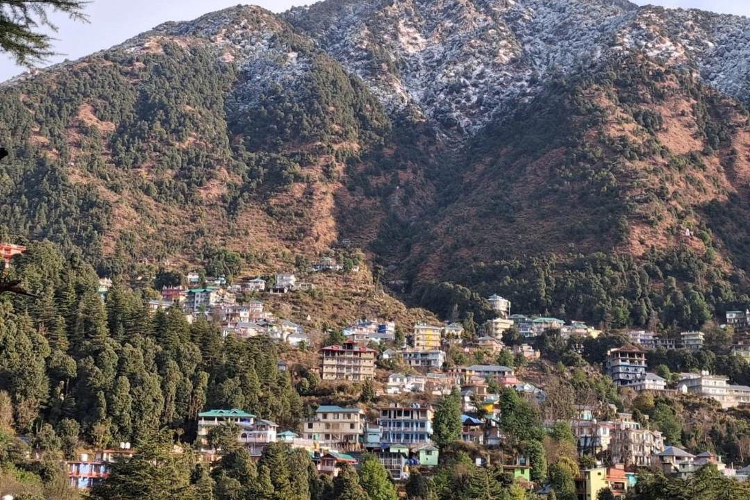 Photo of Others in Dharamkot