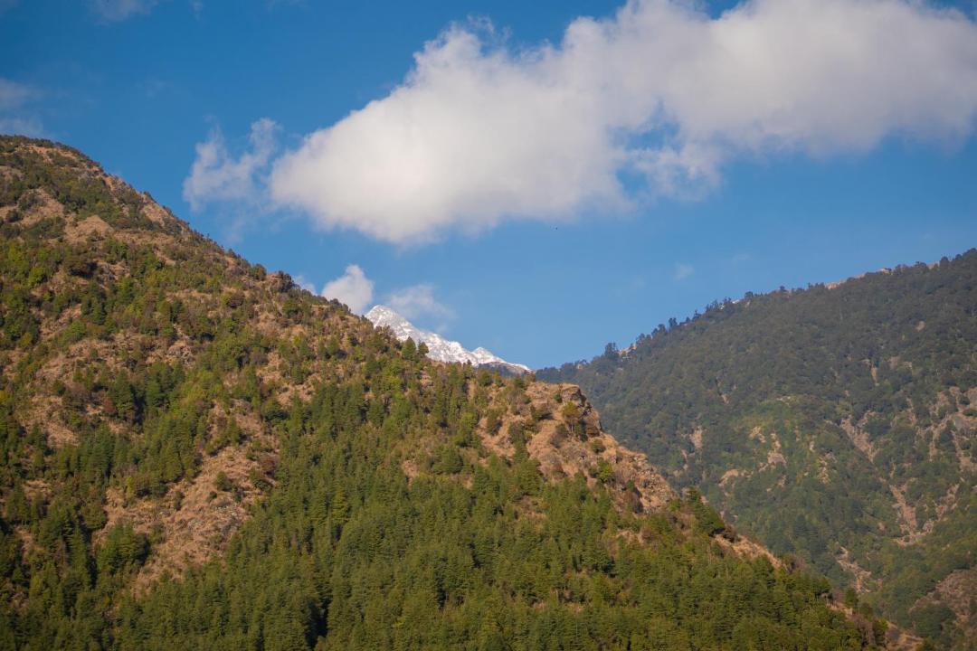 Photo of Others in Kangra