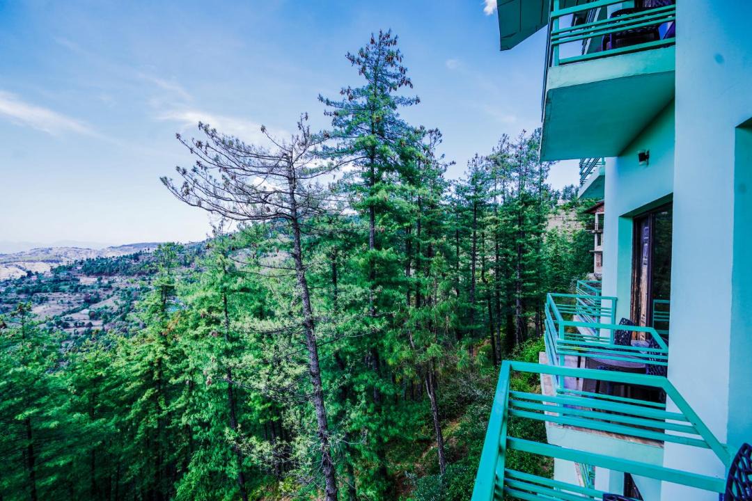 Photo of Others in Shimla
