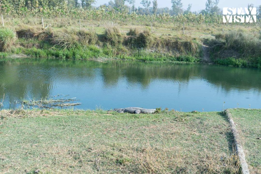 Photo of Others in Pilibhit