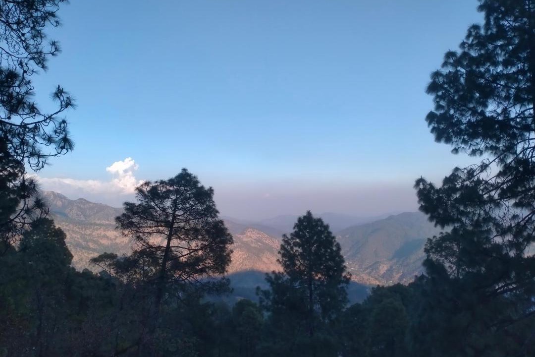 Photo of Others in Majkhali