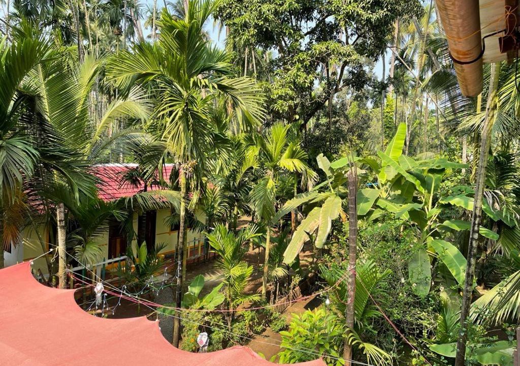 Photo of Others in Alibaug